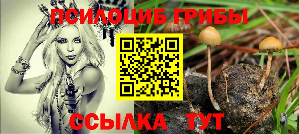 Нововоронеж  Галлюциногенные грибы GOLDEN TEACHER  Вход с VPN 